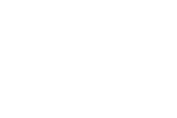 Flash Sale 20% Off Sitewide