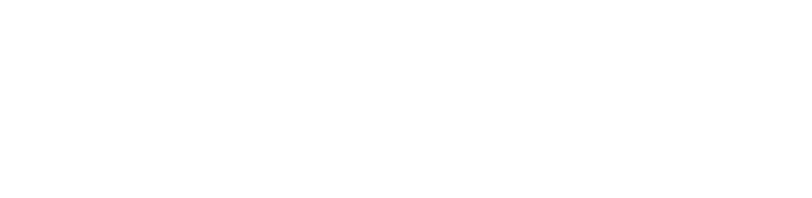 Fire Authority Fire Authority