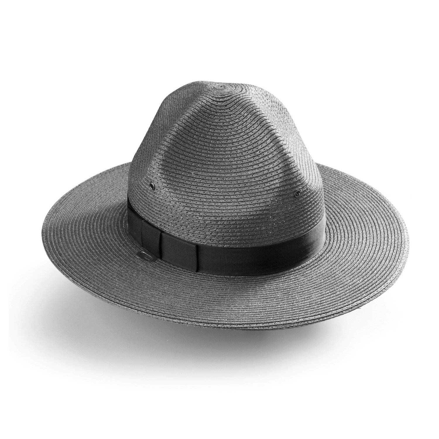 campaign hat