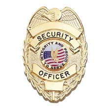 PRIVATE SECURITY OFFICER EAGLE OVER FLAGS SHIELD BADGE